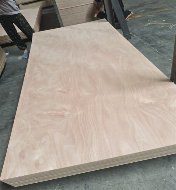 OKOUME PLYWOOD (265) Commercial Plywood